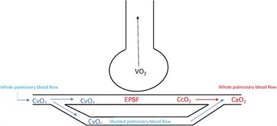 Capnodynamics – noninvasive cardiac output and mixed venous oxygen saturation monitoring in children